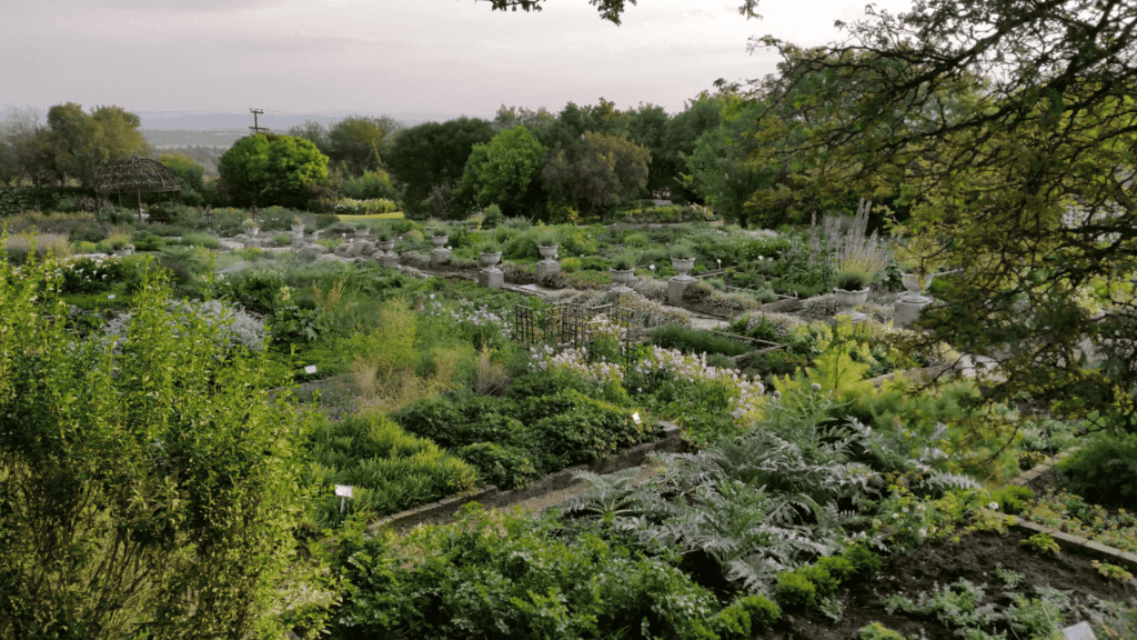 A Very Special Day At A Very Special Place - Herb Land
